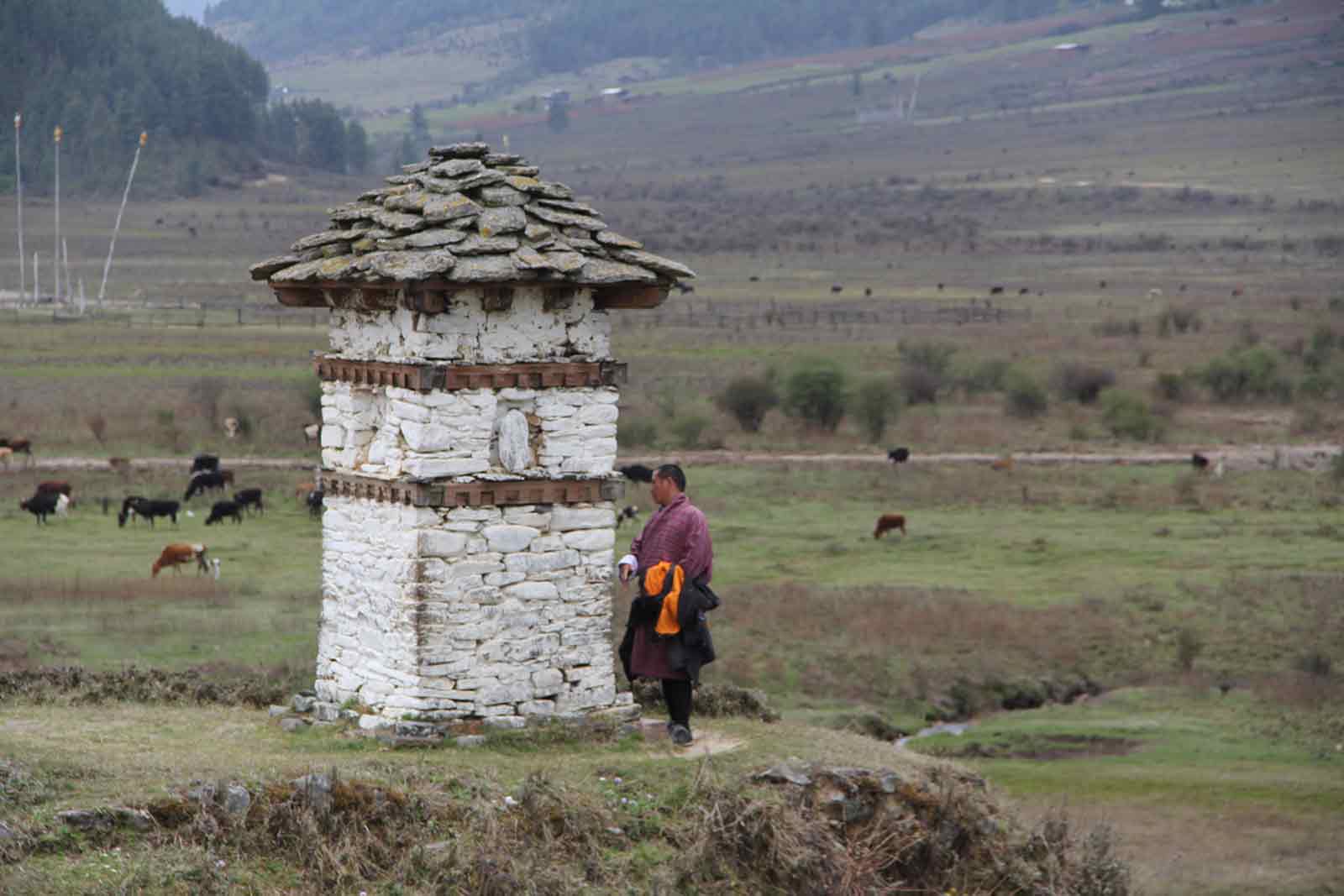 BHUTAN: A MONK AND A CARPENTER