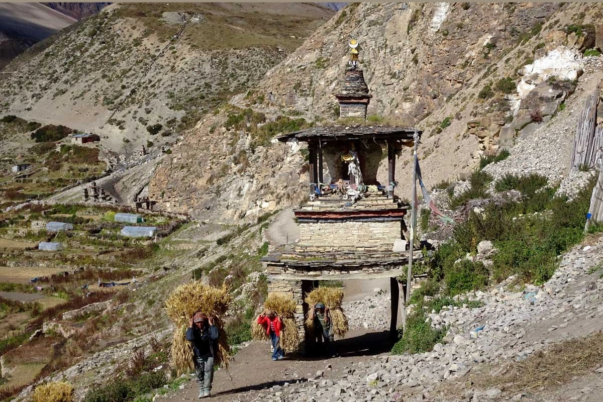 Annapurna circuit via Naar Phu